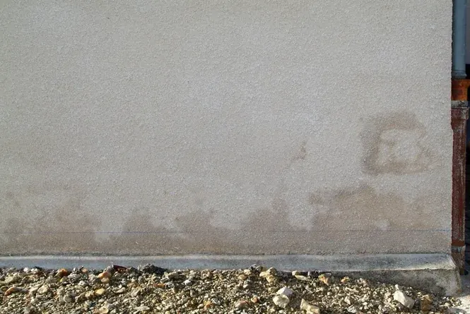 Remontées capillaires sur un mur ancien (traces blanches en bas)