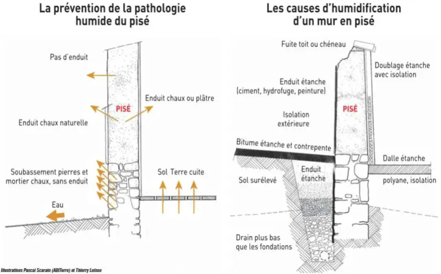 Le Pise et la renovation pathologie